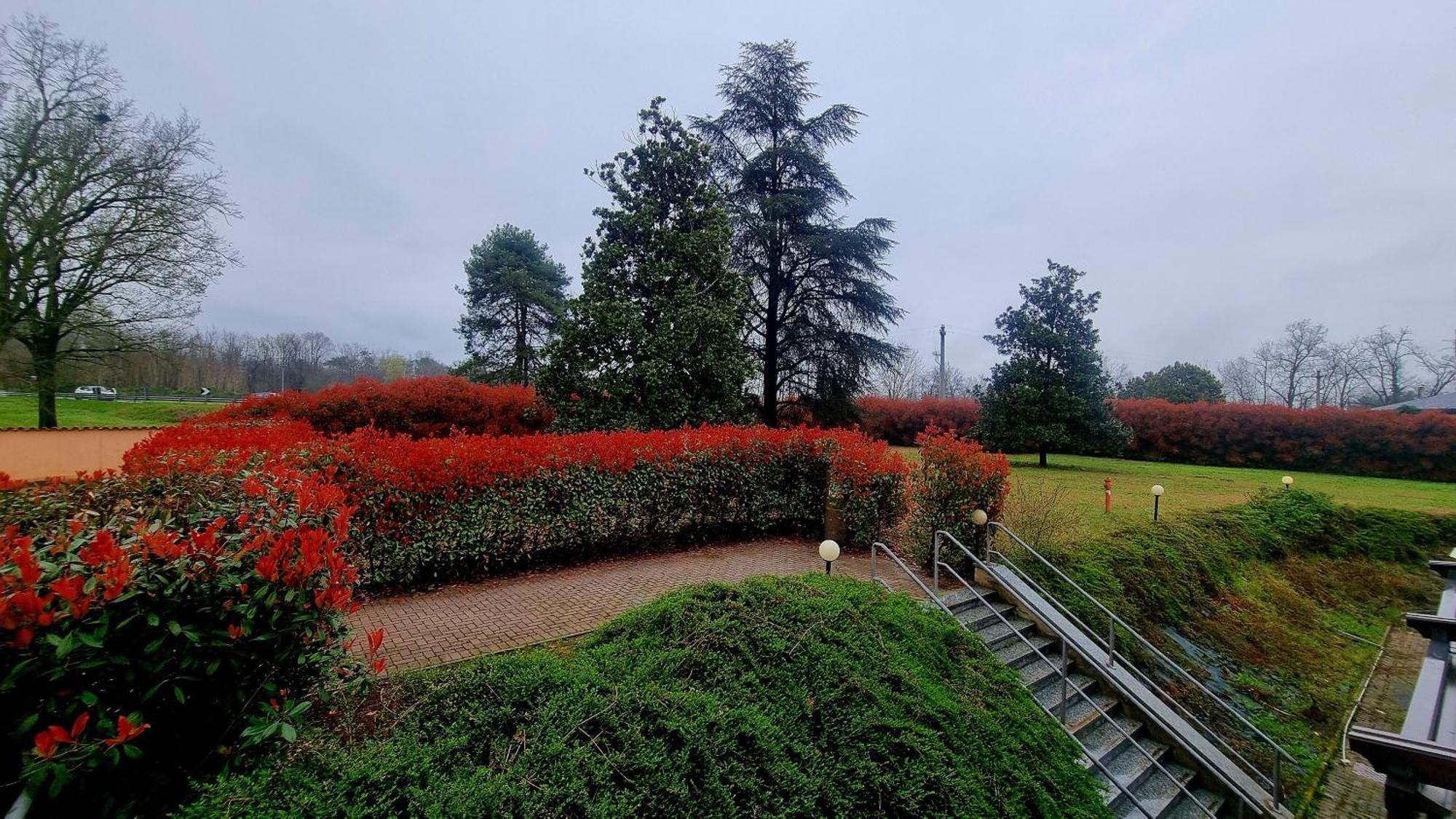 Hotel Villa Delle Rose - Malpensa Oleggio Esterno foto